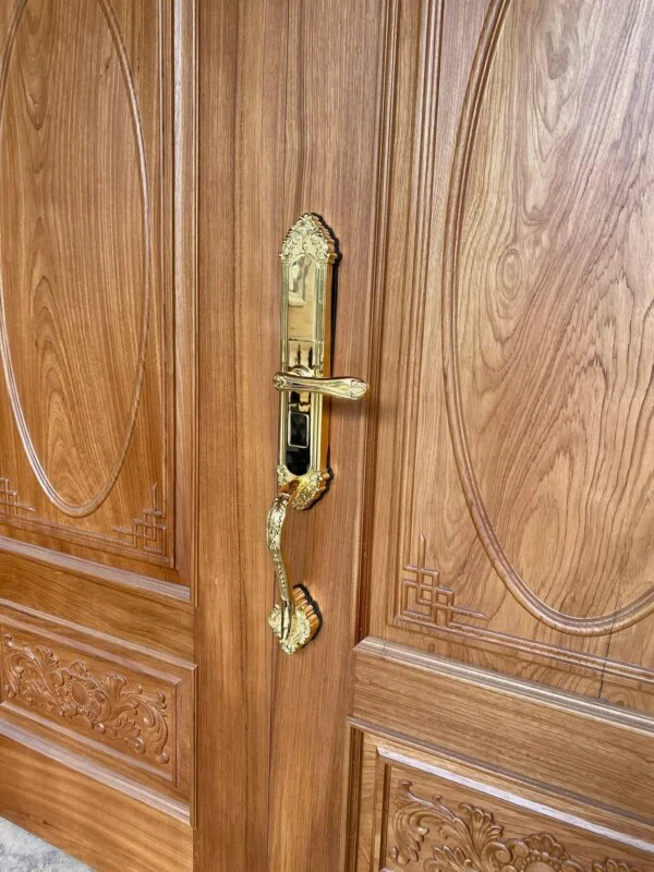 Khóa cửa đại sảnh ToMo - TDS.809