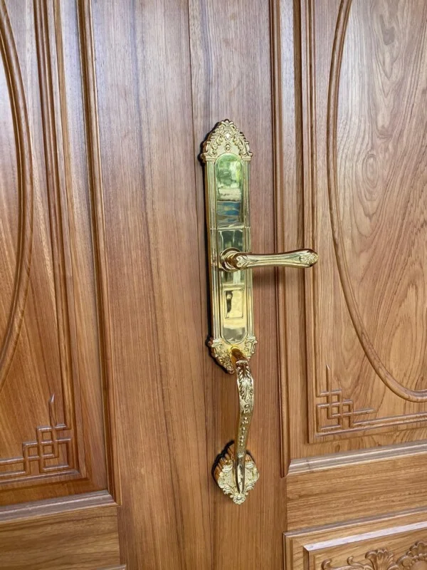 Khóa cửa đại sảnh ToMo - TDS.809