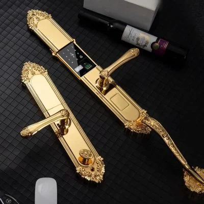 Khóa cửa đại sảnh ToMo - TDS.809