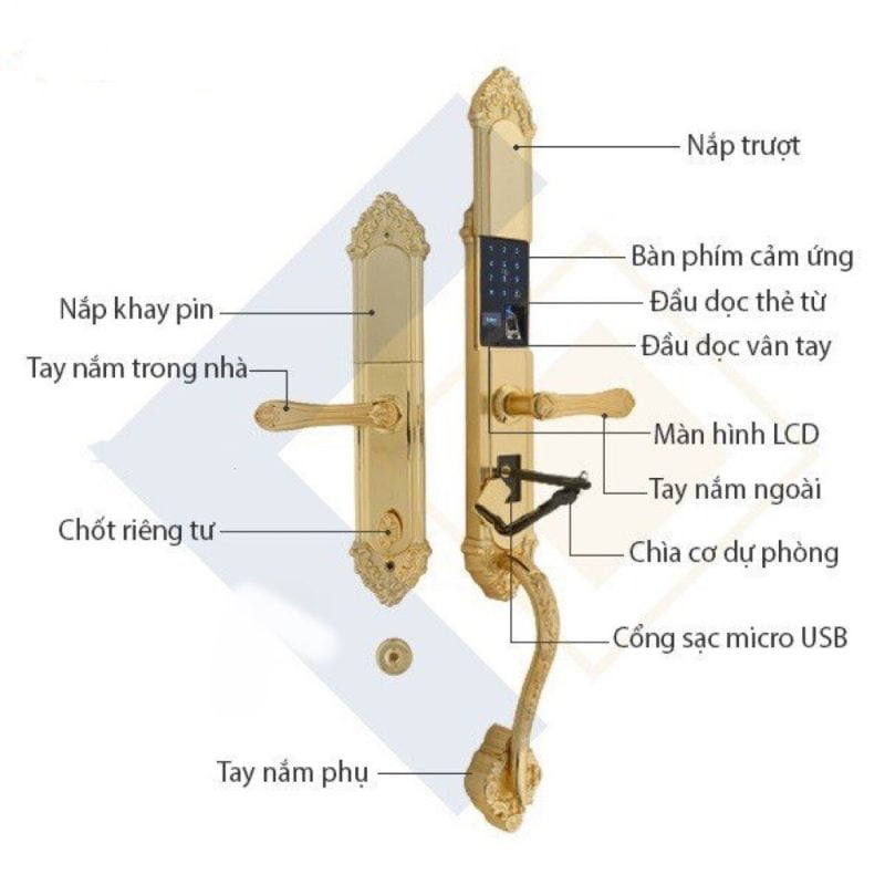 Khóa cửa đại sảnh ToMo - TDS.809